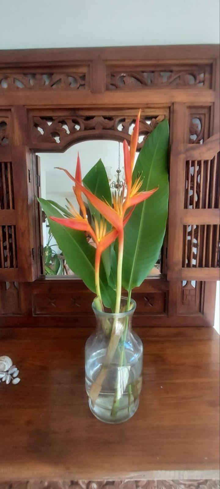 Residence71Nadi Fiji Екстериор снимка